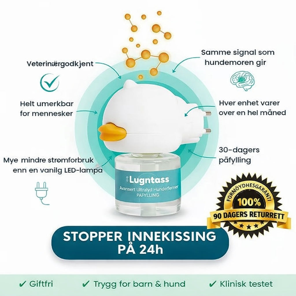 Forvandle hundens inne-urinering, bjeffing og angst – raskt, enkelt og skånsomt!